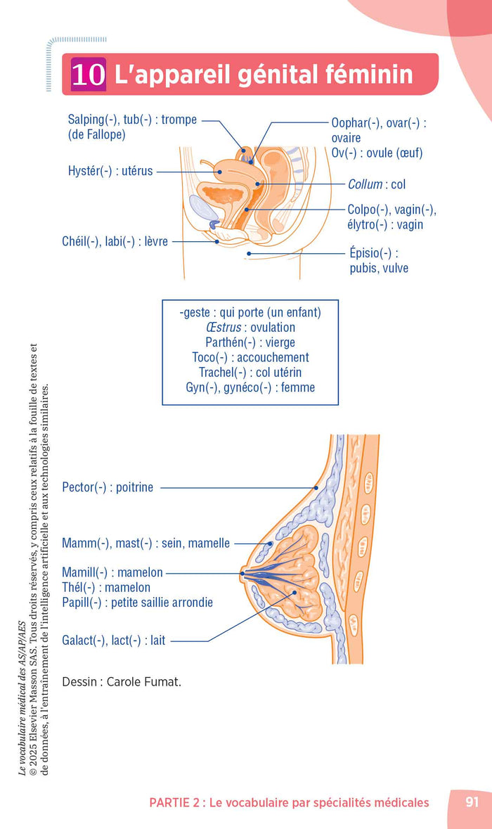Le vocabulaire médical des AS/AP/AES