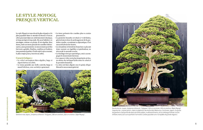 L'art du bonsaï - Guide pratique et philosophique