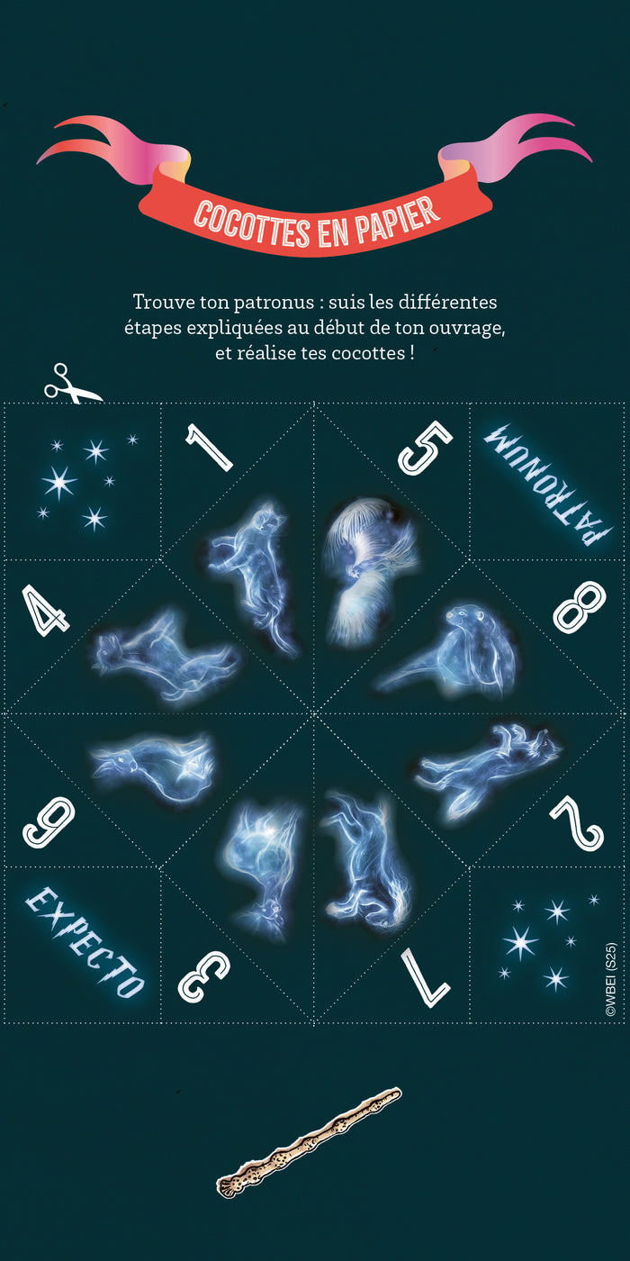 Harry Potter - Mon carnet de créations Hedwige