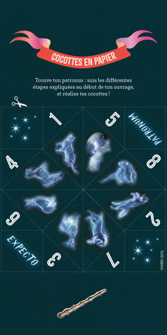 Harry Potter - Mon carnet de créations Hedwige