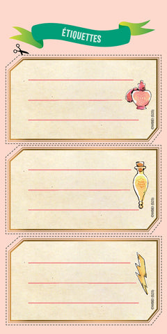 Harry Potter - Mon carnet de créations Hedwige