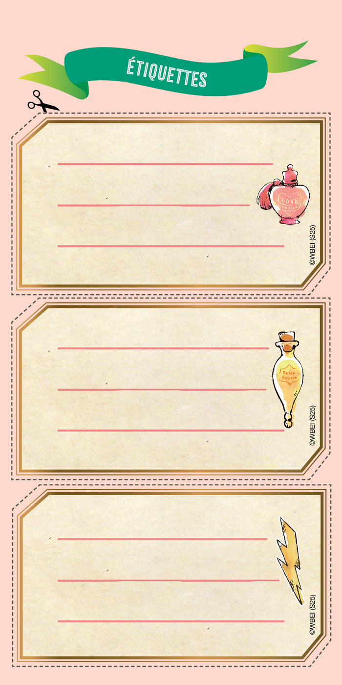 Harry Potter - Mon carnet de créations Hedwige