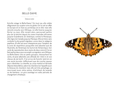 Le Petit livre des papillons