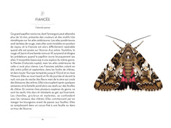 Le Petit livre des papillons