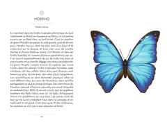 Le Petit livre des papillons