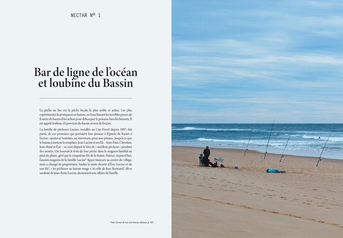 L'été gourmand au Cap Ferret