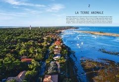 L'été gourmand au Cap Ferret