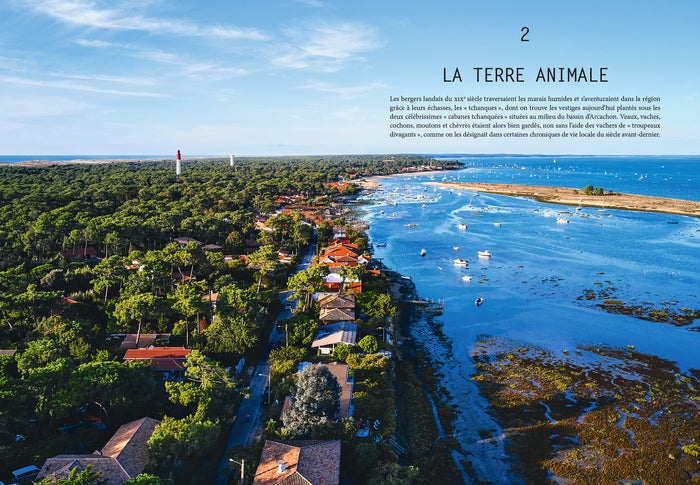 L'été gourmand au Cap Ferret