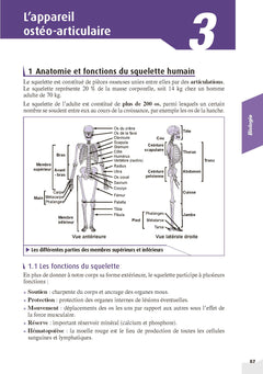 Mon grand guide IFSI 2025 pour entrer en école d'infirmier