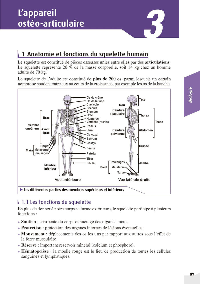 Mon grand guide IFSI 2025 pour entrer en école d'infirmier
