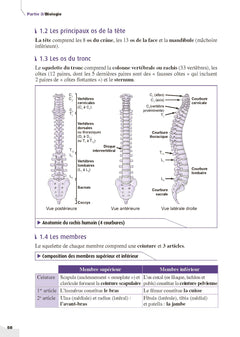 Mon grand guide IFSI 2025 pour entrer en école d'infirmier
