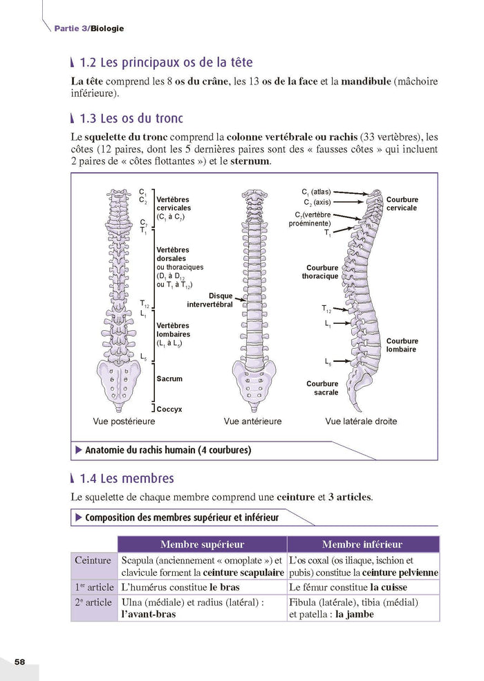 Mon grand guide IFSI 2025 pour entrer en école d'infirmier