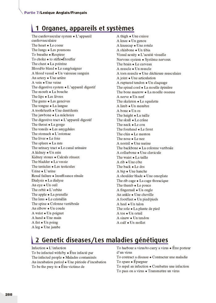 Mon grand guide IFSI 2025 pour entrer en école d'infirmier