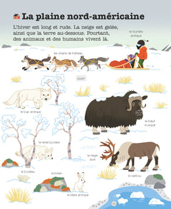 Les animaux du froid