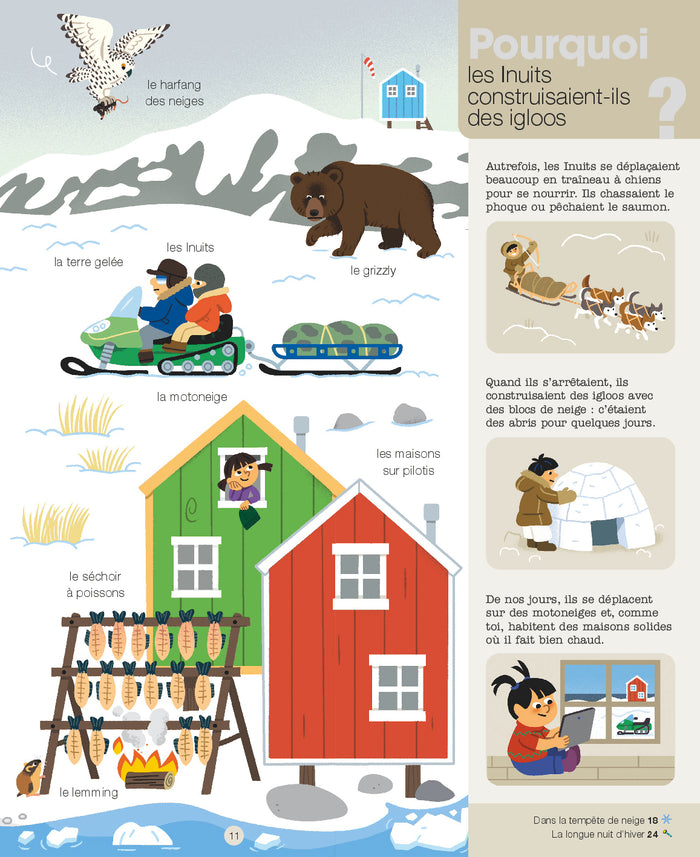 Les animaux du froid