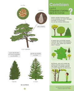 La forêt