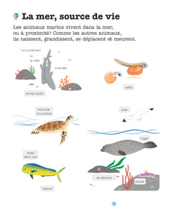 Les animaux des mers
