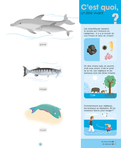 Les animaux des mers