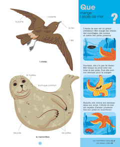 Les animaux des mers