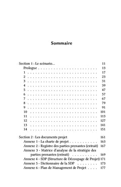 Gestion de projets d'envergure