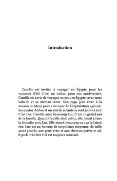 Camille Grouve en Égypte