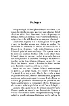 L'Idéal d'une autre vie