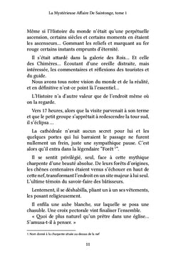 La mystérieuse affaire de Saintonge, tome 1