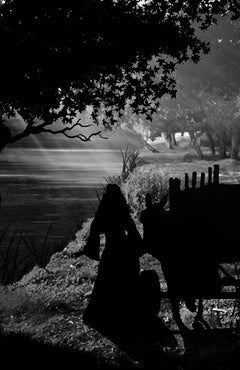 La Vengeance de la bête