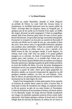Le prince des cailloux