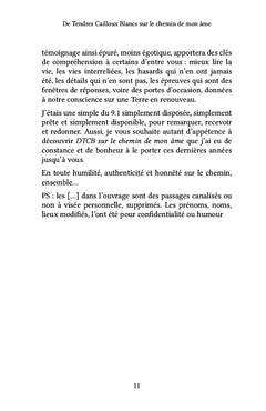 De tendres cailloux blancs sur le chemin de mon âme
