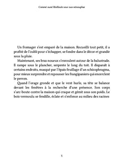 Commé ouné libelloule sour oun nénouphar