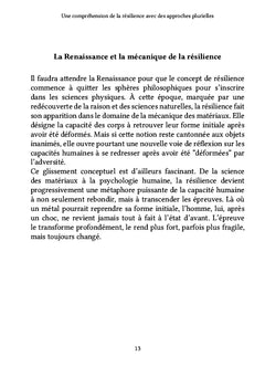 Une compréhension de la résilience avec des approches plurielles