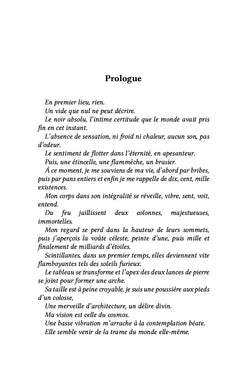 La Sphère d'airain, tome 1