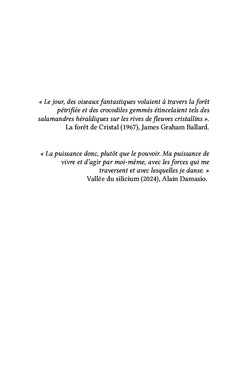 Les Dysfonctionnants