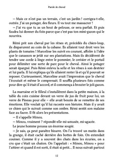 Parole de cheval