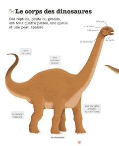 Mes années pourquoi - Les Dinosaures