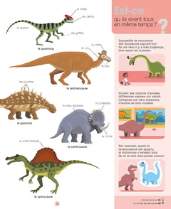 Mes années pourquoi - Les Dinosaures