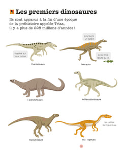 Mes années pourquoi - Les Dinosaures