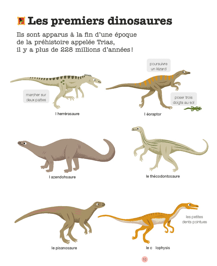 Mes années pourquoi - Les Dinosaures