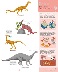 Mes années pourquoi - Les Dinosaures