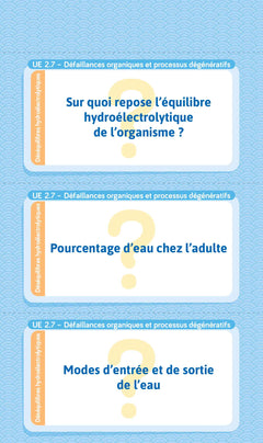 Flashcards IFSI.  UE 2 et UE 4 du semestre 4