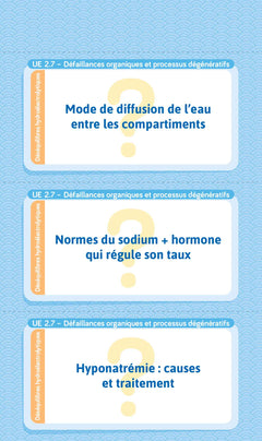 Flashcards IFSI.  UE 2 et UE 4 du semestre 4