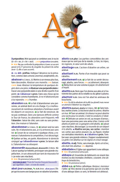 Le dictionnaire Larousse Super Major