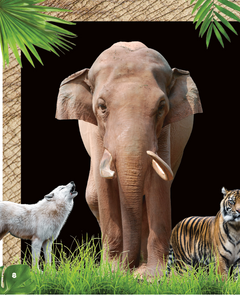 Une saison au zoo - Le grand livre des jeux et énigmes