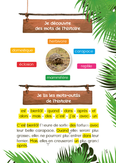 La tortue étoilée