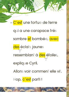 La tortue étoilée