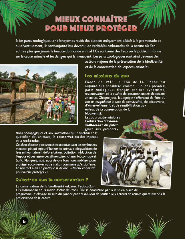 SOS animaux en danger - Pour une corne magique