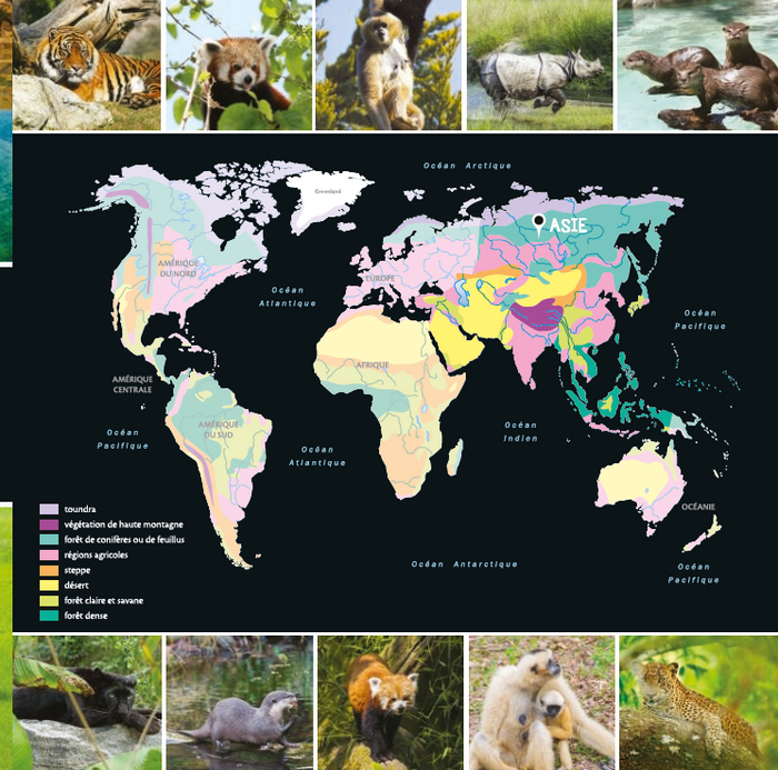 L'atlas des animaux sauvages