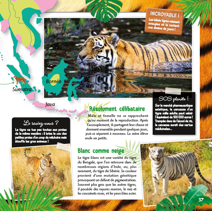 L'atlas des animaux sauvages