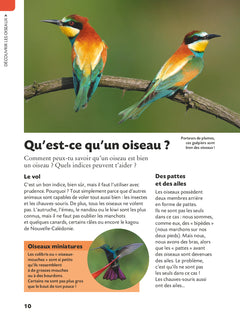 Copain des oiseaux